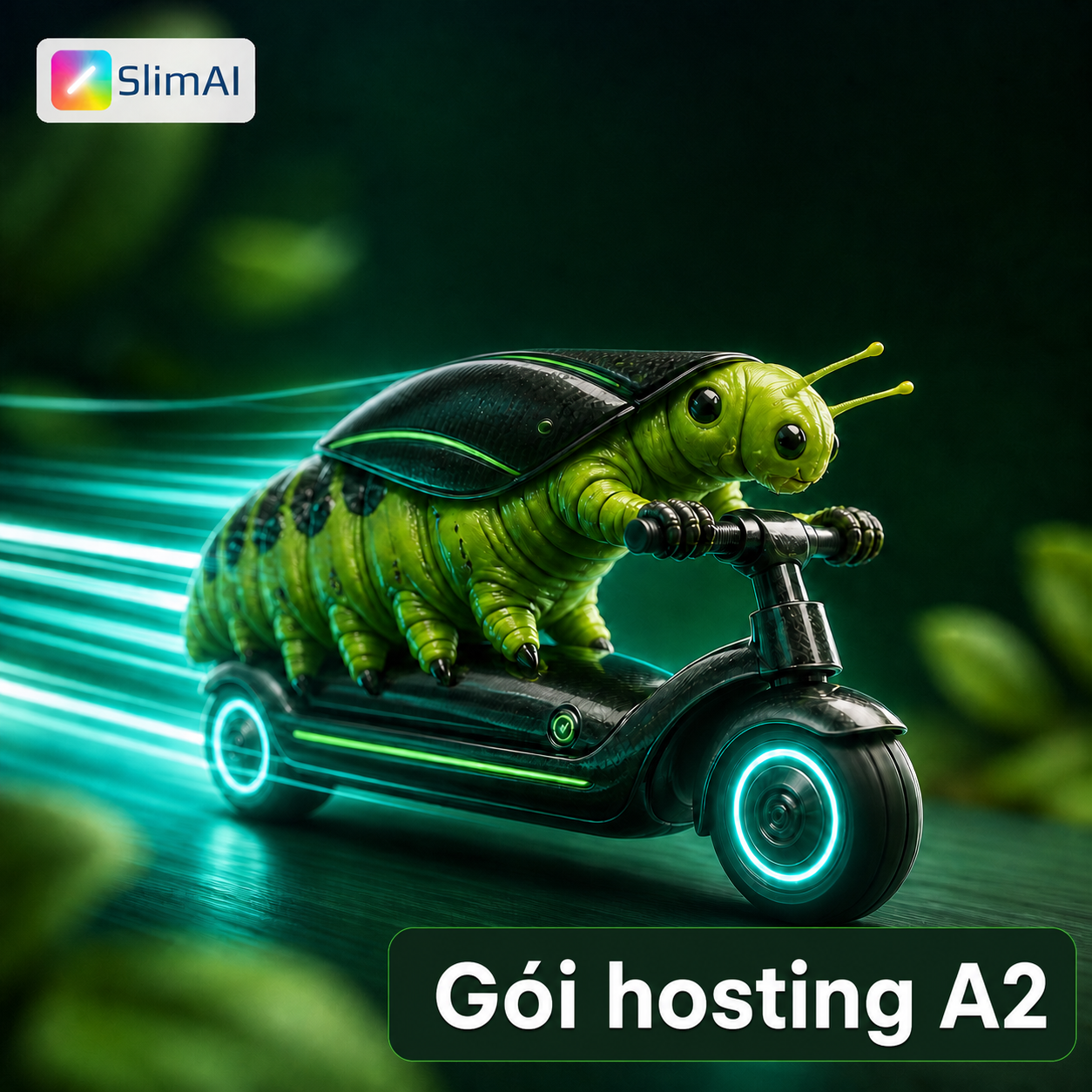 Gói hosting A2